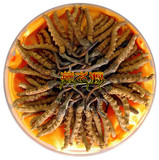 长春回收那区冬虫夏草